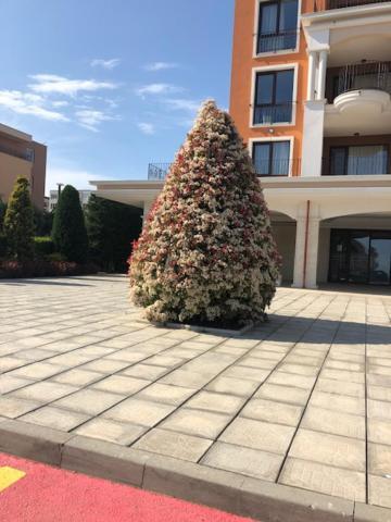 Apartment In Prestige Fort Beach سفيتي فلاس المظهر الخارجي الصورة